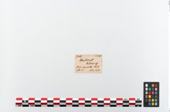 Etikett zu Eisenlanzenspitze (NHMW-PRAE-003481)